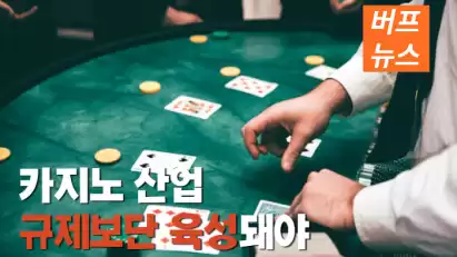 카지노 산업 "규제보단 육성돼야 한다"