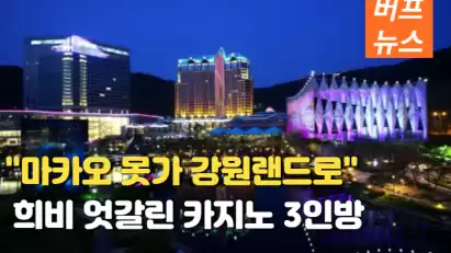 마카오 못가니 강원랜드로