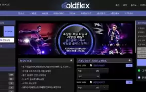 골드플렉스먹튀