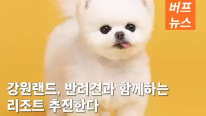 강원랜드, 반려견과 함께하는 리조트 추진