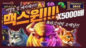 [버팔로킹 메가웨이] 1200 x5000배 맥스윈