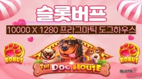 [도그하우스] 1만 x1288배 빅윈