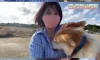 핡는거 좋아하는 댕댕이