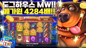 프라그마틱 [도그하우스메가웨이즈] 4200배 메가윈!! [프라그마틱]