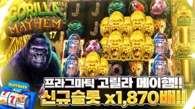 프라그마틱 [고릴라메이햄] x1870배 빅윈!! [프라그마틱]