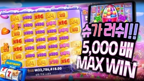 프라그마틱 [슈가러쉬] 5,000배 맥스윈!! [프라그마틱]