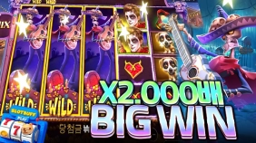 프라그마틱 [데이오브데드] 빅윈!! 2000배 [프라그마틱]