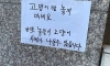 상남자식 캣맘 대처법.jpg