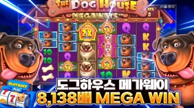 프라그마틱 [도그하우스] 역대급당첨 x8138배 대박영상 [프라그마틱]