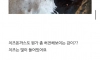 연돈 돈까스 리뷰 썼다가 욕먹은 블로거 ㄷㄷ