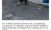 개같은 배달 리뷰