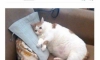 전남친 철벽방법
