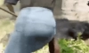 인간 vs 곰 .gif