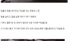 19세기 신기한 개들의 직업.jpg