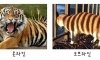 키보드 워리어들의 현실 모습