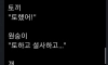 아보카도의 충격적인 진실