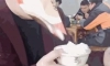 짱개식 새부리형 마스크 ㅋㅋㅋㅋ