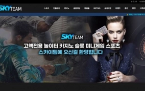 스카이팀먹튀