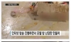 인터넷 방송 모텔 라이브 레전드.jpg