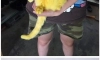 인도식 고양이 피부병 치료
