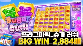 프라그마틱 [슈가 러시] 빅윈!! 2,884배 [프라그마틱]