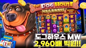 프라그마틱 [도그하우스 메가웨이즈] 2,960배 BIG WIN [프라그마틱]