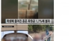 아동 후원금 128억 먹튀한 기부단체.JPG