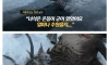 강물에 빠진 사슴