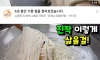 6년 기른 털 자르는 강아지