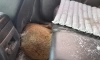 또 레전드 갱신된 한문철TV ㄷㄷㄷㄷㄷ