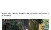 관람객한테 물 맞고 놀라서 숨어버린 아기 팬더