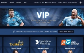 브이아이피먹튀
