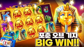 [포춘 오브 기자] BIG WIN!!