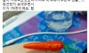 오늘 회사에 신입이 들어왔는데...