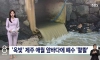 제주 애월 앞바다에 폐수 콸콸