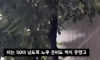 비혼주의 페미의 미래
