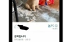 당근마켓에 올라온 공짜 댕댕이