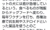 원래 개는 암에 안걸렸다