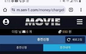 무비  먹튀