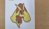 수상한 포켓몬