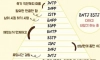 MBTI 게으름 계급도