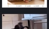 세상에 있는 두 가지 타입