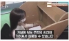 골판지의 나라 일본