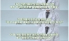 전세계 의사들이 한국인들에게 권한다는 음식