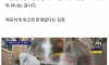 1회용 vs 재활용, 뜨거운 꼬치 논쟁
