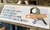참새를 주의해야 하는 이유