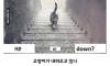 논란의 사진