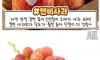 한 번은 먹고싶은 신품종 과일 종류