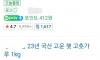자취 초년생들 기절초풍하는 아이템 1위