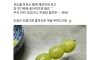 요즘 뜨고 있다는 무설탕 탕후루